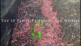 Top 10 Favorite Foods for Worms