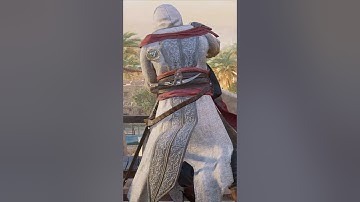 One of My Favorite Stealth Kills Animations in AC Mirage