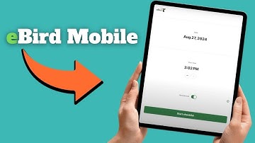 How to Use the eBird Mobile Birding App (for beginners)