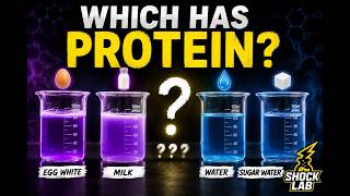 🔥 Which Foods Actually Contain Protein? A Simple Chemistry Test