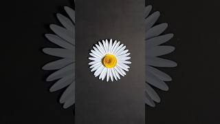 Paper Daisy How To Make A Paper Daisy