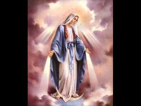 chava.wmv