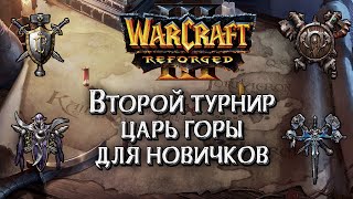 [СТРИМ] Турнир новичков #2: Warcraft 3 Reforged