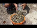 Bottle fish trap ||  Best fishing video 2020 || Prawn fish || মাছ ধরার ভিডিও ||