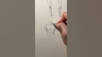 How I Draw the Male Torso #torso #tutorial #how #howto #howtodraw #anatomy #drawing #sketch #fyp