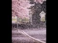 桜の降る街で/沢田知可子