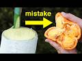 Never Graft Oranges To A Lemon Tree Never Graft Oranges To A Lemon Tree