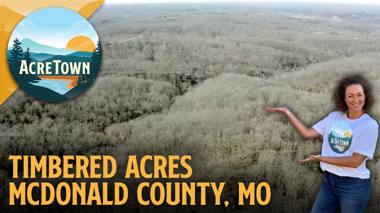 OZARKS LAND FOR SALE CHEAP | No Restrictions | Power + Road Access