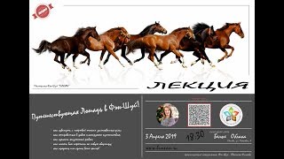 видео: Лекция «Путешествующая Лошадь в Фэн-Шуй» картинка: Лекция «Путешествующая Лошадь в Фэн-Шуй»