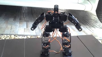 โปรเจค หุ่นยนต์ฮิวแมนนอยด์ Arduino 12 DOF เพื่อการศึกษา