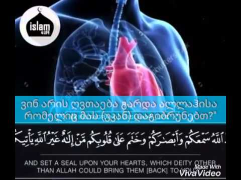 ამ კითხვაზე ვის რა პასუხი გაქვთ !?