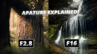 All that you need to know about APATURE in one video or The only video you will EVER