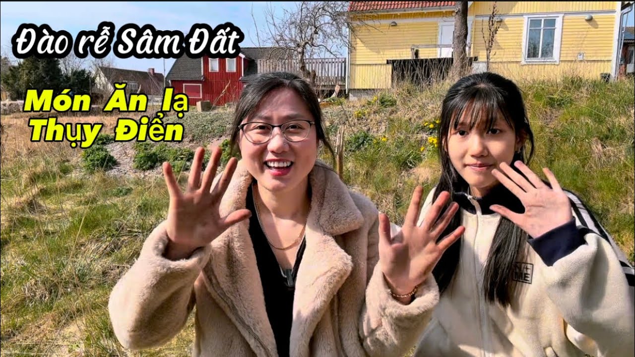 441/ Đào Sâm đất MỌC HOANG về hầm Gà ăn thử ,lần đầu làm ăn mà vị Lạ quá