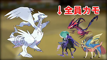 チョッキ ポケモン