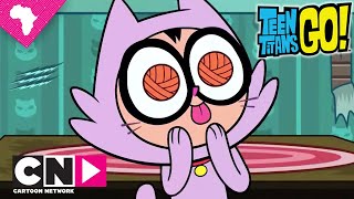 Cat Lady | Teen Titans Go | Cartoon Network