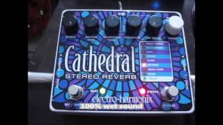 EHX Cathedral reverse reverb demo - My Bloody Valentine style destruction