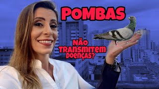 POMBAS NÃO transmitem doenças? ep.33