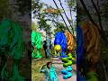 Big dinosaur chase T-rex chasingpart -1499#shorts #dinosaur#youtube#dinosaurs #superman#ddininner🐯🦣🦖