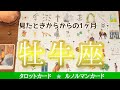 牡牛座♉︎【願いが叶う１ヶ月】大切な連絡、約束、プレゼントがあります🌟