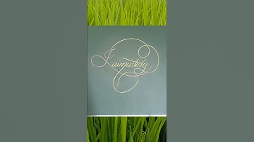 comments your name#drona calligraphy #shorts#signature#style#request#