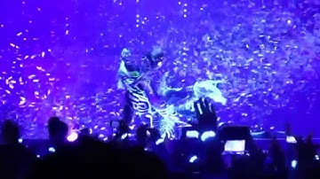 Sensation IntoTheWild (Unofficial Experience)