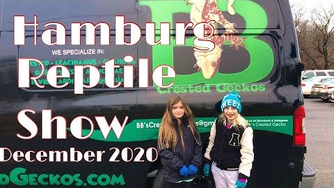 Hamburg Reptile Show December 2020