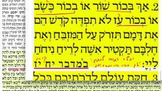 הדף היומי מסכת כריתות דף ד Daf yomi Kereisos daf 4