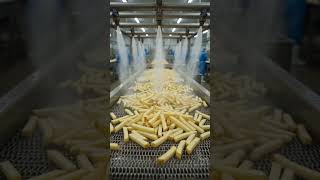 Inside the Massive Factory Producing 100 Tons of French Fries Daily! 😱 Satisfying ASMR #shorts
