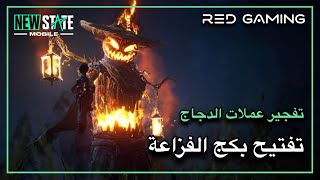 تفجير صندوق الفزاعة بعملات الدجاج / شكن مدل فقط 🔥 تفتيح بكجات الفزاعة ببجي نيو ستيت