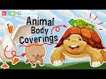 Animal Body Coverings and Functions