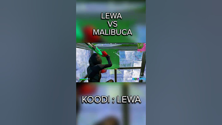 LEWA VS MALIBUCA