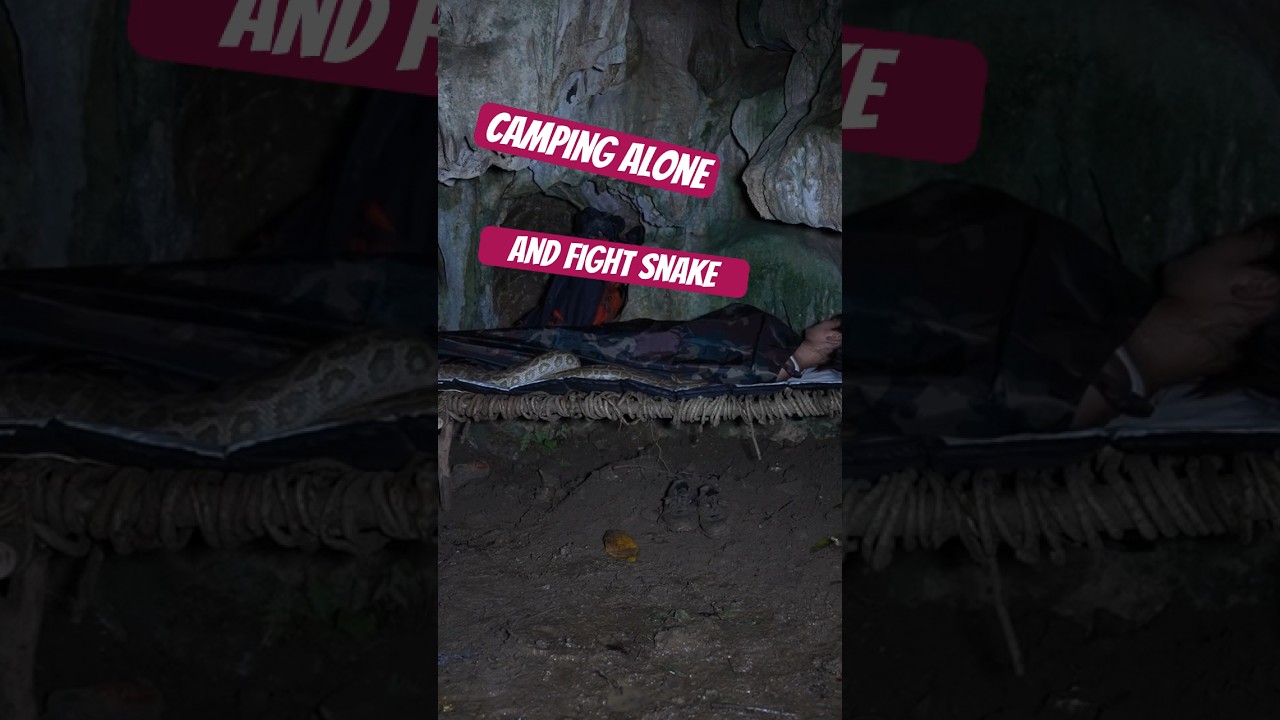 I survived a confrontation a large snake 