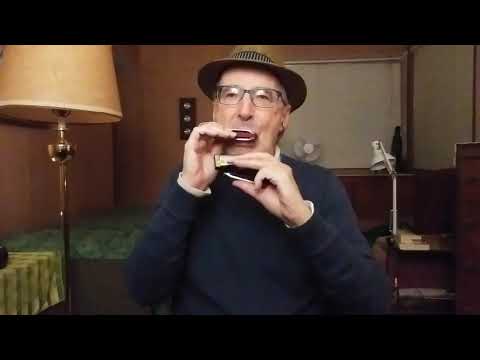 Video: Weiße Mundharmonika