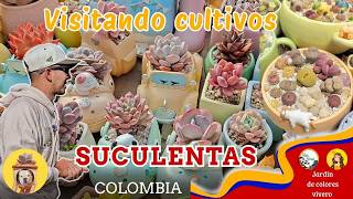 We visited the succulent garden ( colorful garden )😍😱🤯