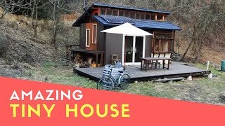 Beautiful Majestic Off-Grid Cabin In The Japanese Mountains