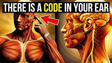 This Auricular Touch on the Vagus Nerve Is a Healing Portal Ignored by Most