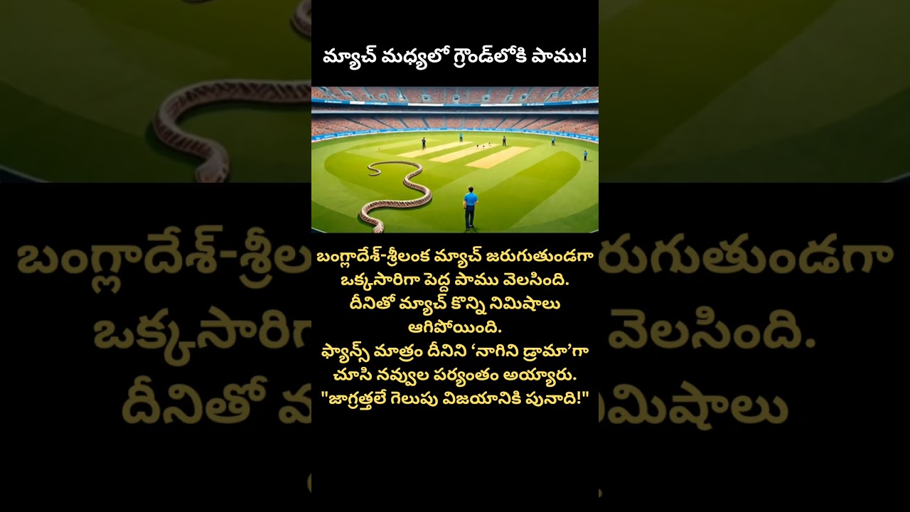 Snake enters cricket ground mid-match | Funny fans react 😂 | 