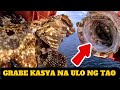 Mabisang pamain sa malalaking grouper fishing in the philippines 2023 