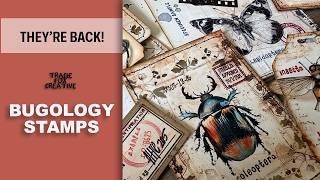Details The Bugology Stamps Are Back! | Craft With Me News