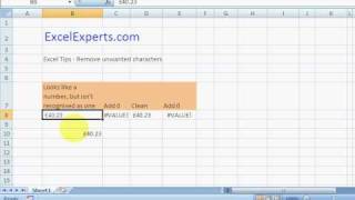 ExcelExperts.com - Excel Tips - Remove unwanted characters Details