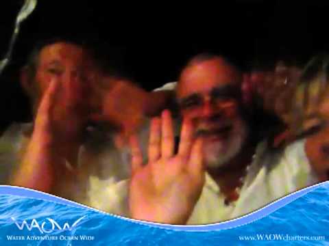 On Board - WAOW - 11:17pm Sunday 28th of July 2013