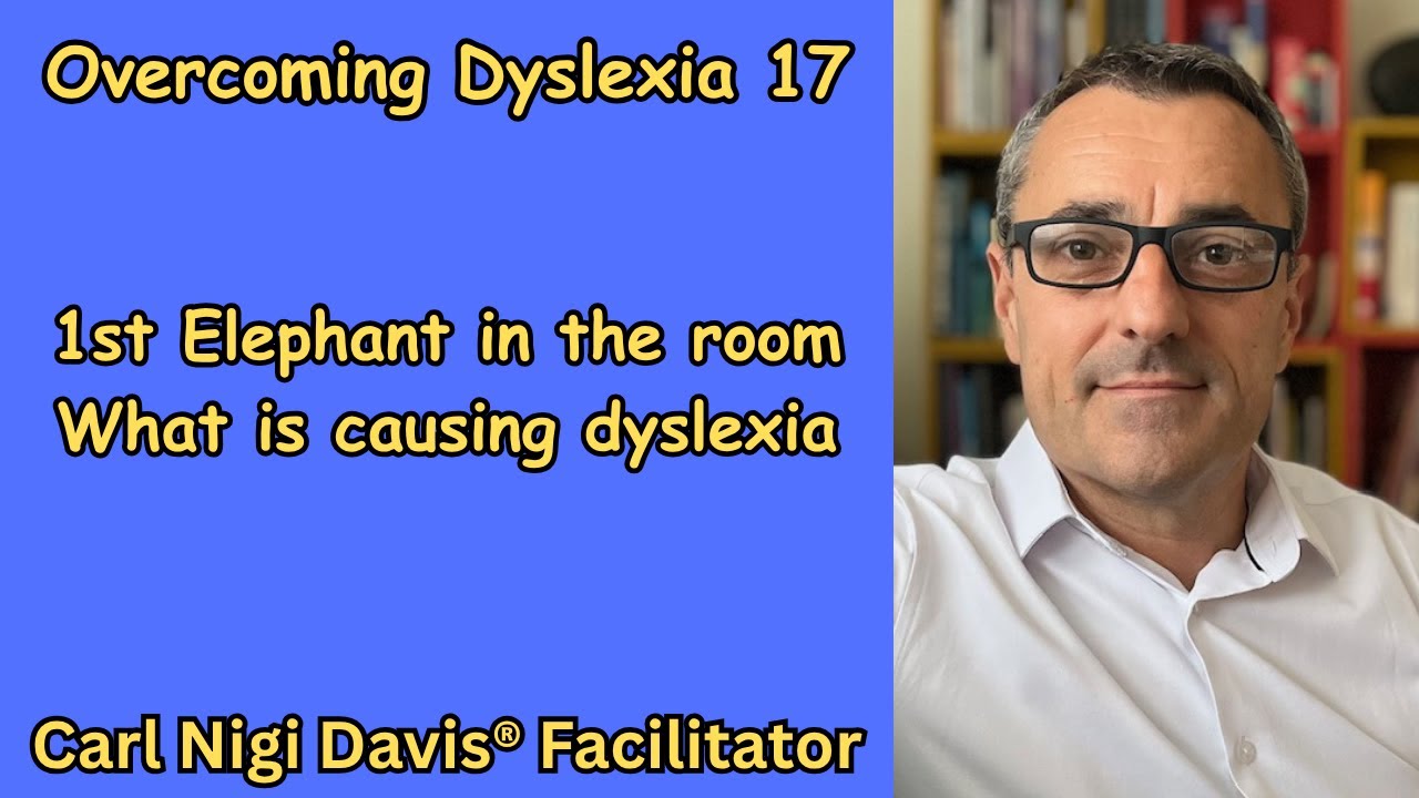 Overcoming Dyslexia 17: 1st Elephant in the room - What is causing dyslexia