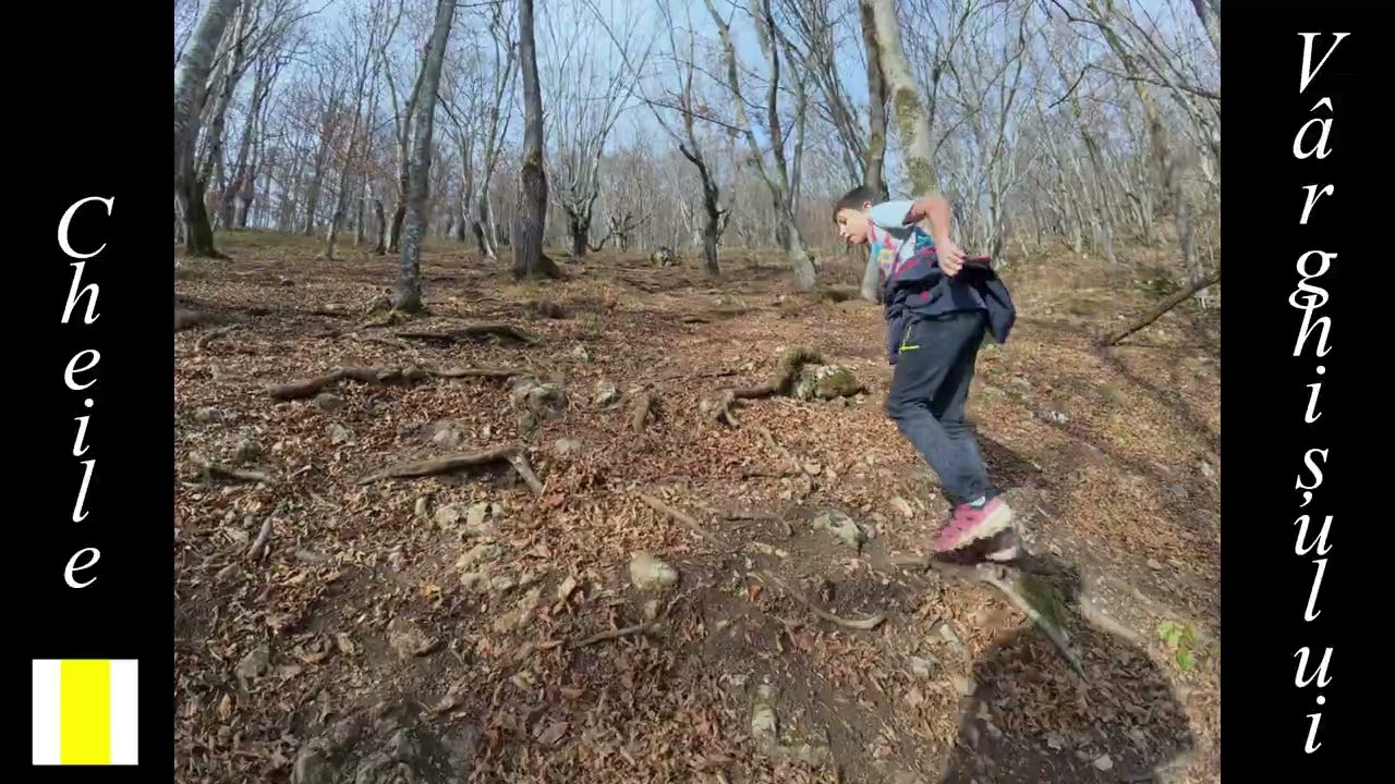 Cheile Varghisului - Refugiul Poiana Pietrii