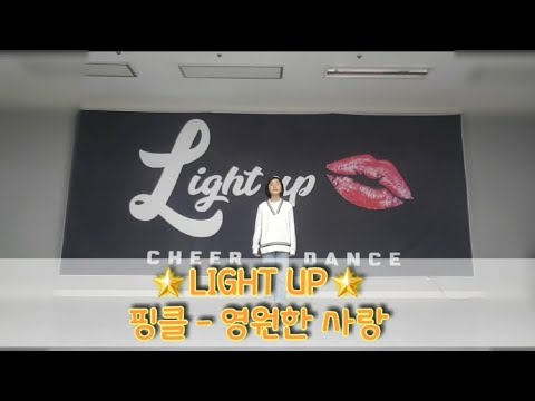 LIGHT UP/라이트업/핑클-영원한사랑/케이팝