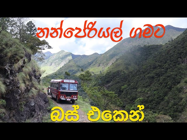 ලංකාවේ අමාරුම බස් ගමන- බලංගොඩ - නන්පේරියල්  බස් | Most Dangerous bus road
