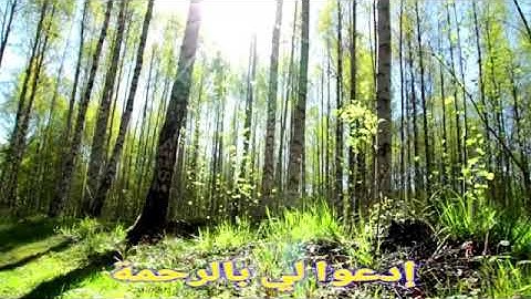 Surat-Fil_Raad_Mohamad_Al_kurdiرعد-محمد-الكردي-_سورة-الفيل