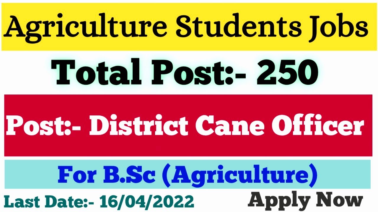 कृषि भर्ती 2022 जिला गन्ना अधिकारी 250 Posts UPPSC Jobs 2022 For B.Sc (Agriculture