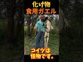 【ゆっくり解説】生態系をぶっ壊す怪物ウシガエル#ウシガエル#特定外来種#スズメバチ