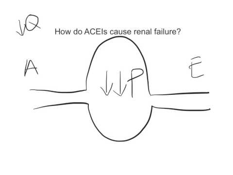 ACEI-Renal Failure
