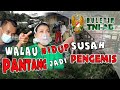 Walau Hidup Susah Pantang Jadi Pengemis | BULETIN TNI AD